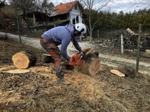 egy favágó darabolja a kivágott fát kandalló méretű tűzifára