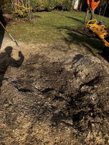 tuskómarás után nem marad fatörzs a földben csak finomra őrölt faforgács